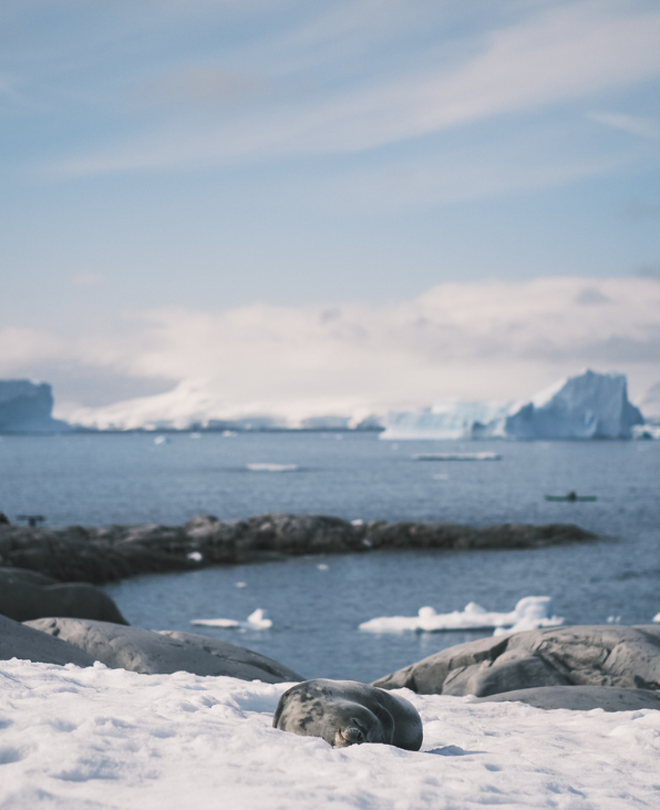 Antarctica Vintage Jumper - Limited Edition