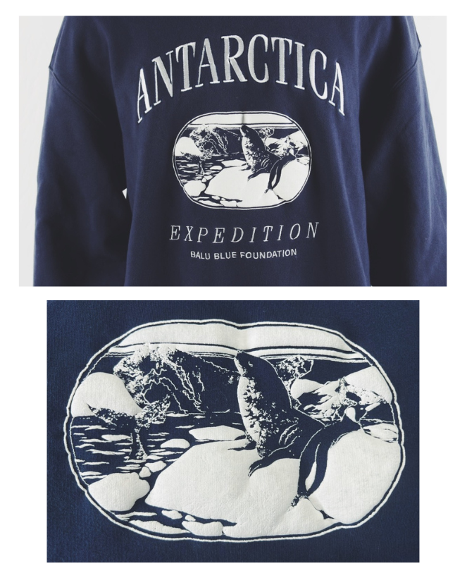 Antarctica Vintage Jumper - Limited Edition