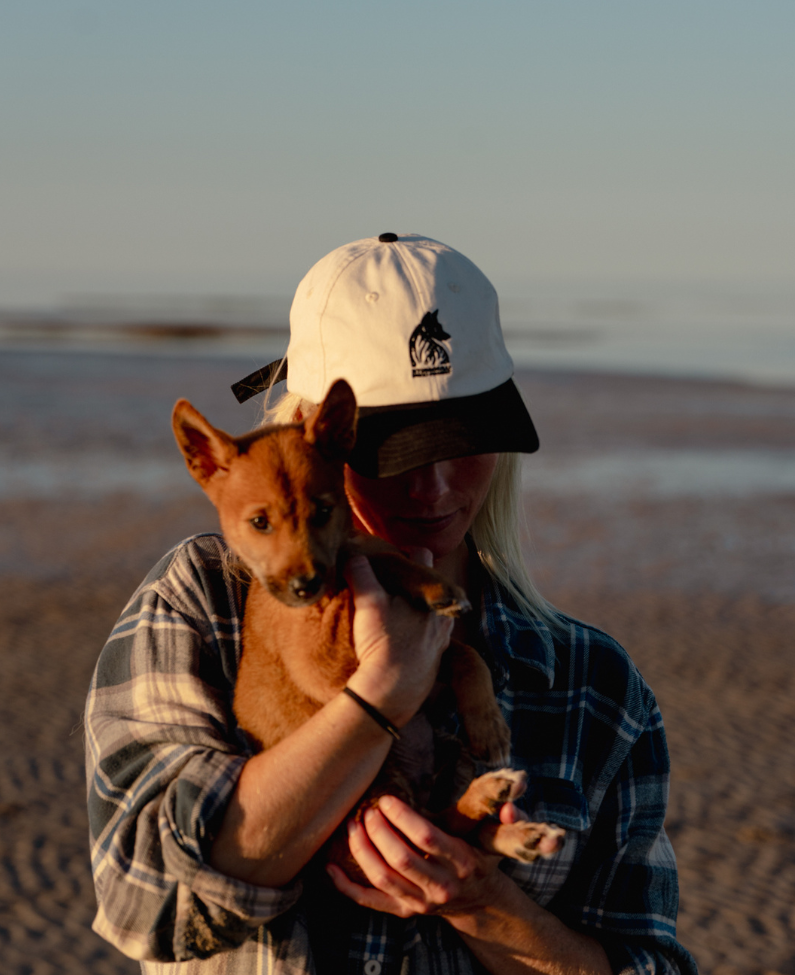 Nyinggulu Dingo Cap - Restock coming March 2025 ( Available as a part of our Feb Fundraiser as a prize ! )