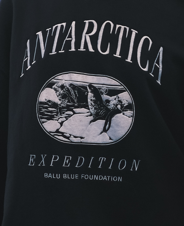 Antarctica Vintage Jumper - Limited Edition