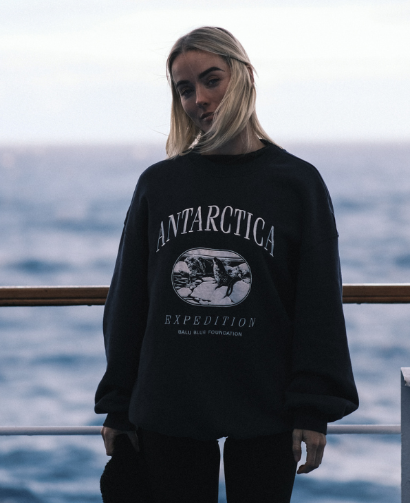 Antarctica Vintage Jumper - Limited Edition
