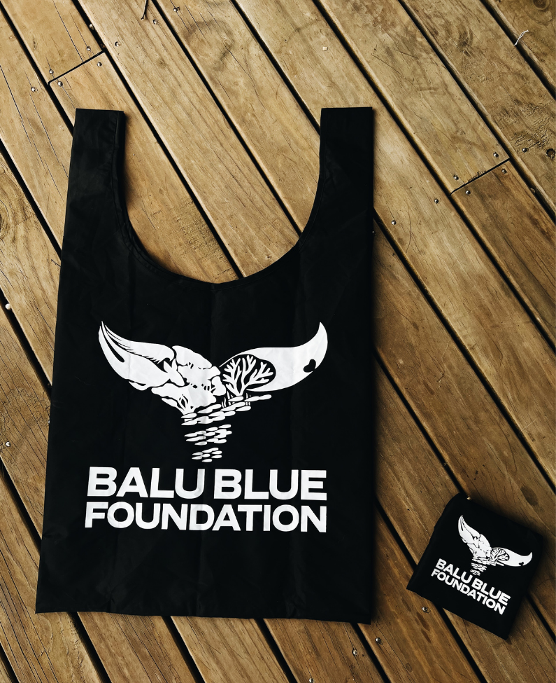 Balu Blue Tote + Debris Pouch - 100% Recycled Nylon