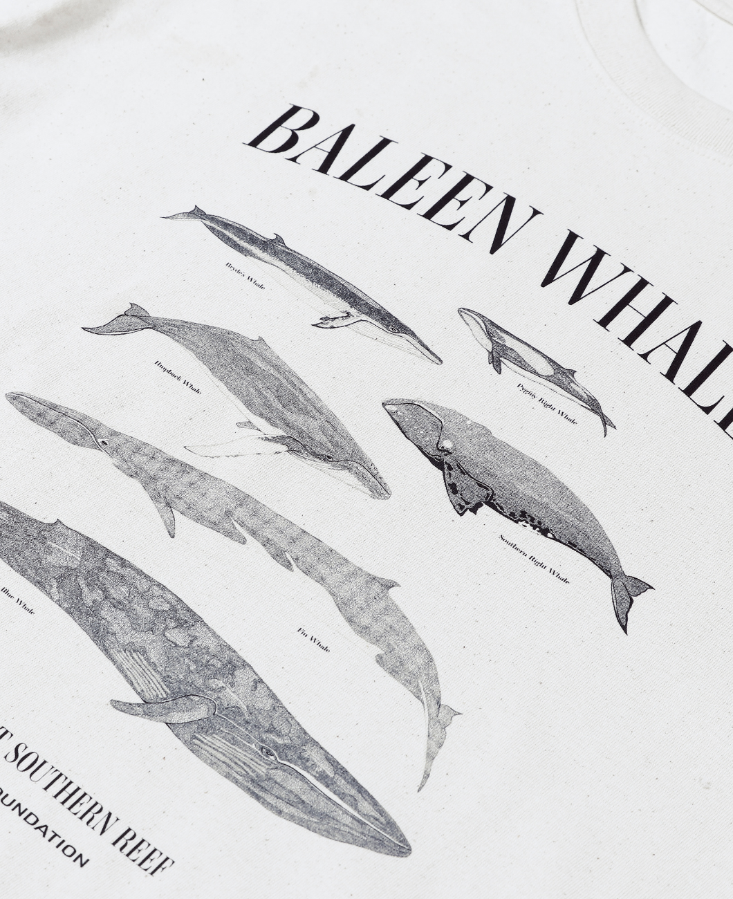 Baleen Whales Forever Tee