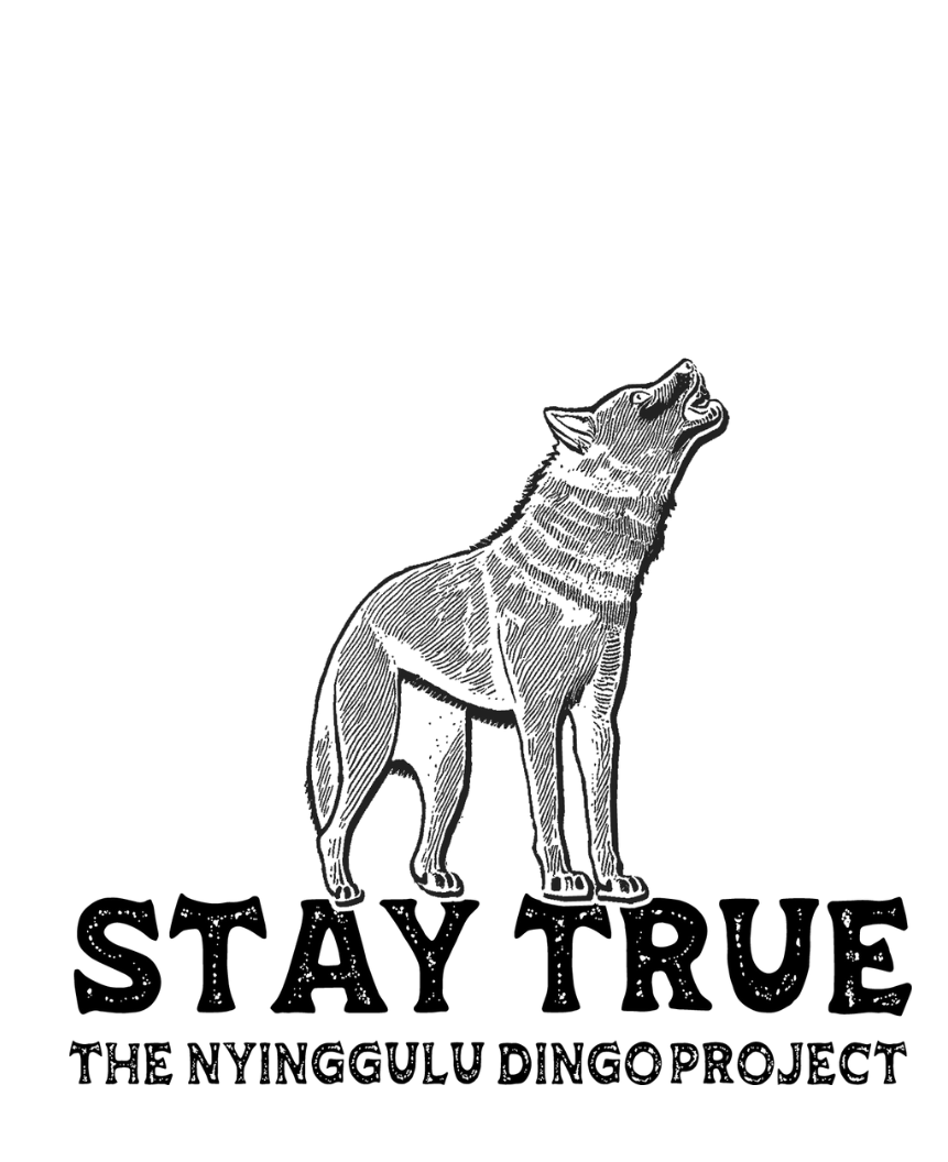 STAY TRUE - Guardians of the Cape Tee | Nyinggulu Dingo Project | BLACK