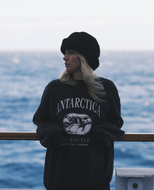 Antarctica Vintage Jumper - Limited Edition