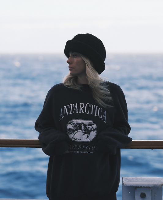 Antarctica Vintage Jumper - limited edition