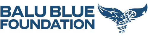 BaluBlueFoundation
